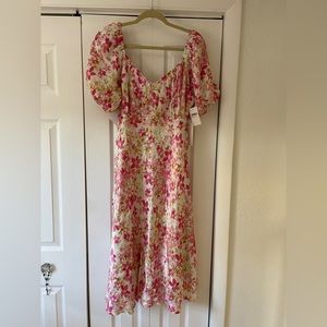 Rachel Parcell Dress